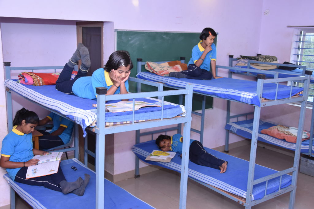 Study Areas
